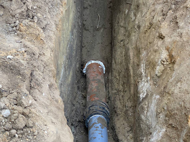 Best Emergency water extraction  in Calumet City, IL