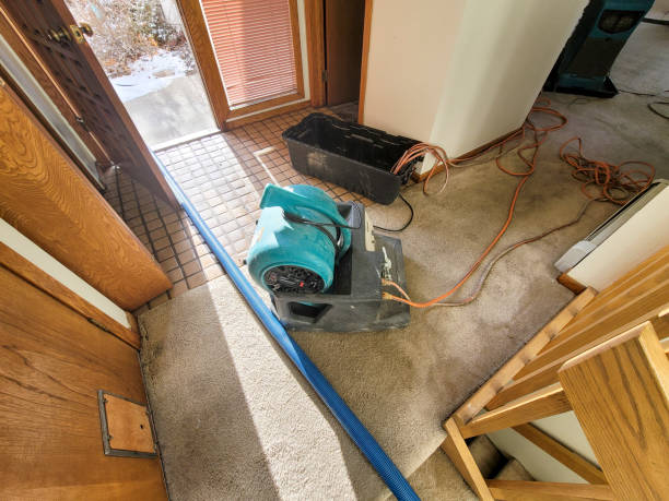 Best Carpet water damage restoration  in Calumet City, IL