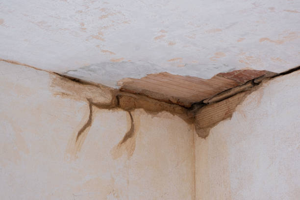 Best 24/7 water damage repair  in Calumet City, IL