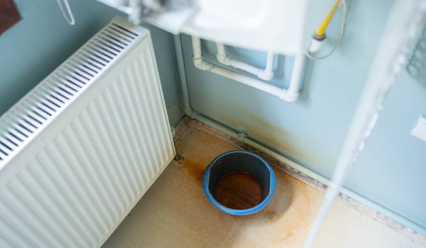 Best Fire Damage Restoration  in Calumet City, IL