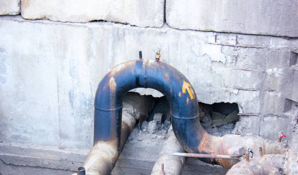 Best Flooded house restoration  in Calumet City, IL