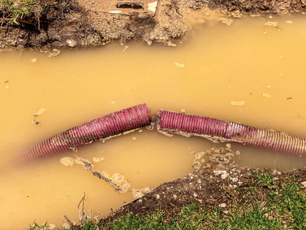 Best Water damage restoration experts  in Calumet City, IL