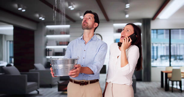 Best Fire Damage Restoration  in Calumet City, IL