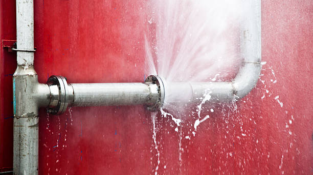 Best Ceiling water damage repair  in Calumet City, IL