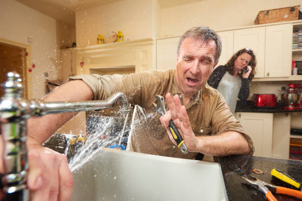 Best Water damage restoration near me  in Calumet City, IL